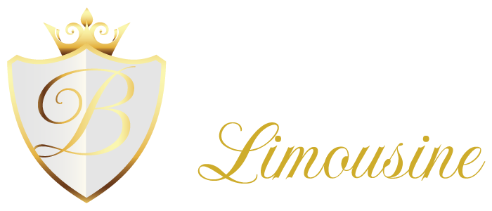 bingolimousine