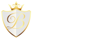 bingolimousine_services